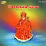 Vailankanni Veenai - S.P. Balasubrahmanyam Song Download